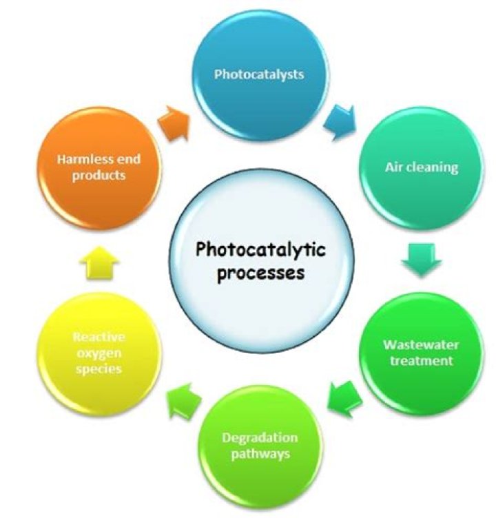 A Promising Actor With Versatile Roles