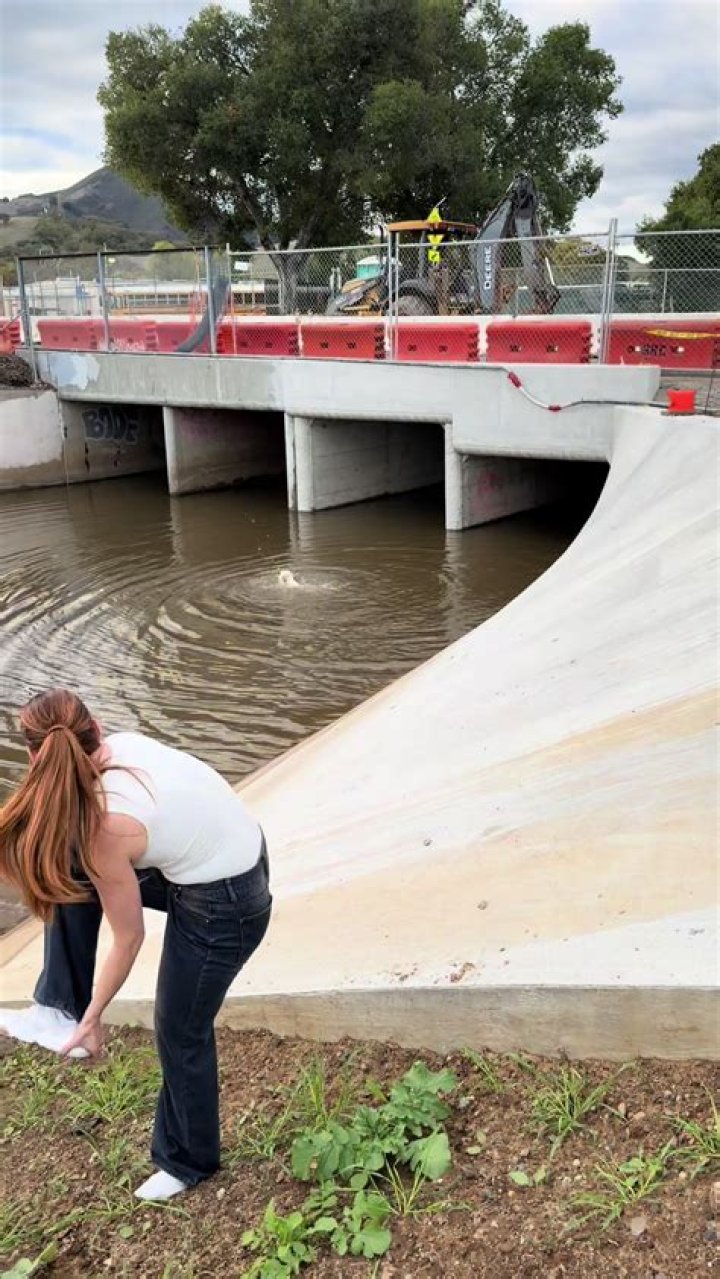 Anuel AA's Financial Empire Revealed