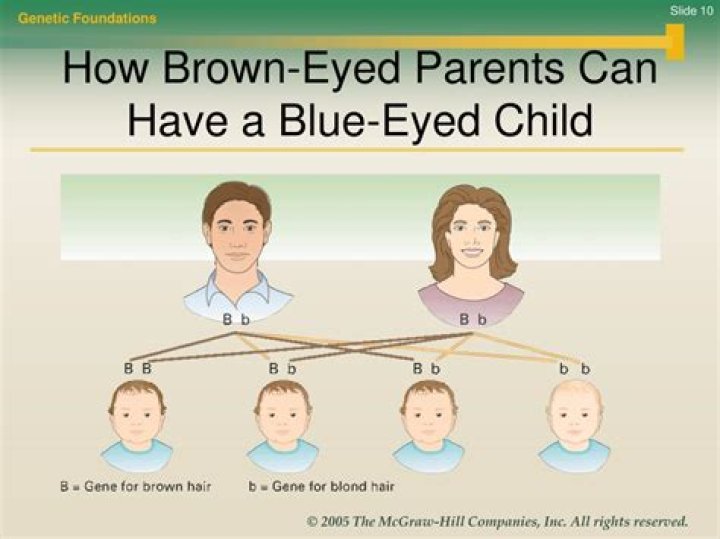Can 2 blue-eyed parents make brown?