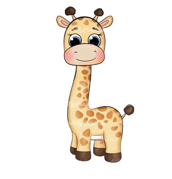 Can I own a giraffe UK?
