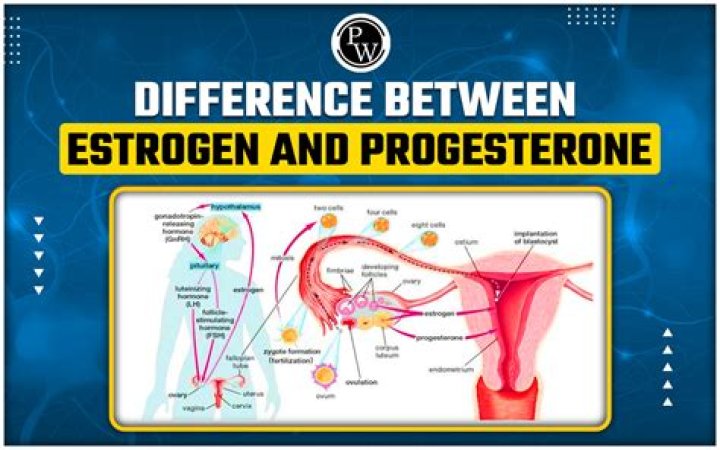 Can progesterone make endometriosis worse?