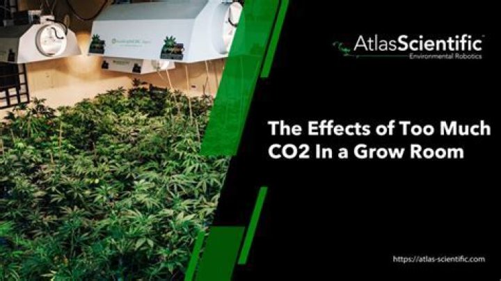Can you have too much CO2 in your grow room?
