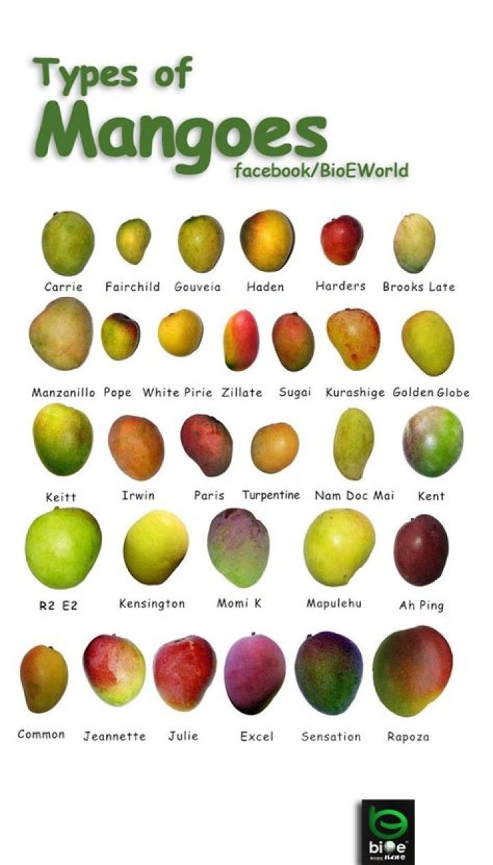 Discover The World Of Mangoes: Explore All Varieties And Flavors