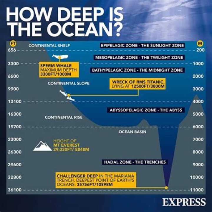 Dive Into The Depths: Unveiling The Names Of Earth's Oceans