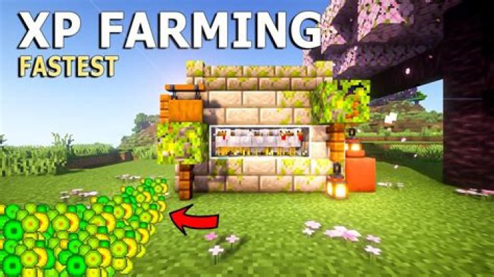 Do XP farms work in bedrock?