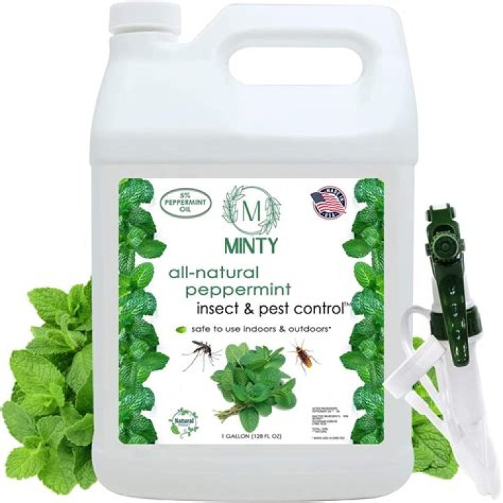 Does peppermint keep away mice?