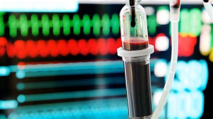 Exploring The Reality Behind The Rumor