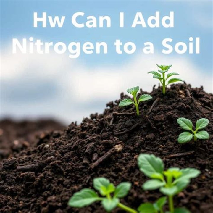 How can I add nitrogen to my soil naturally?