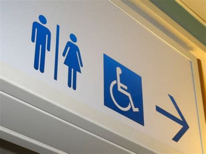 How long do Saniflo toilets last?