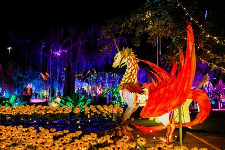 Imagine Rod Stewart's Enchanting Performance In San Diego