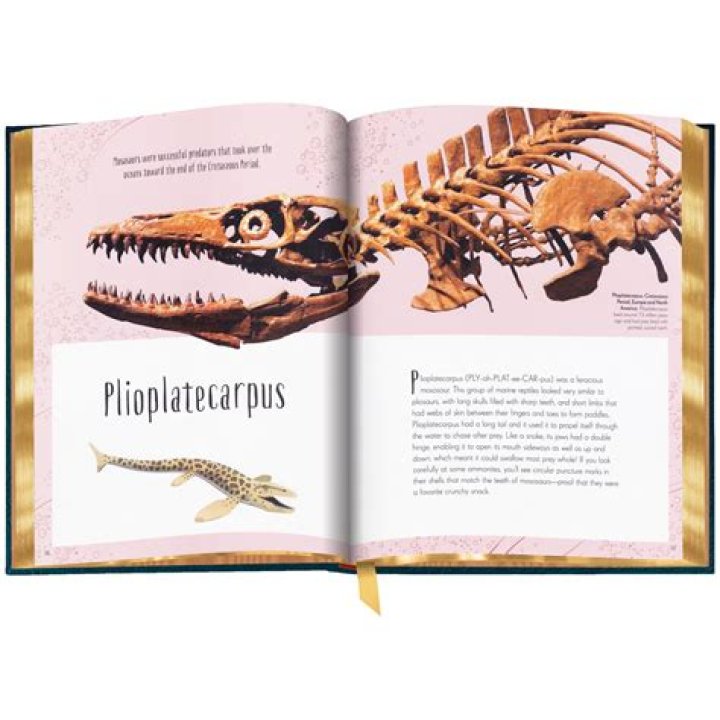 The Complete Guide To Markey Mark