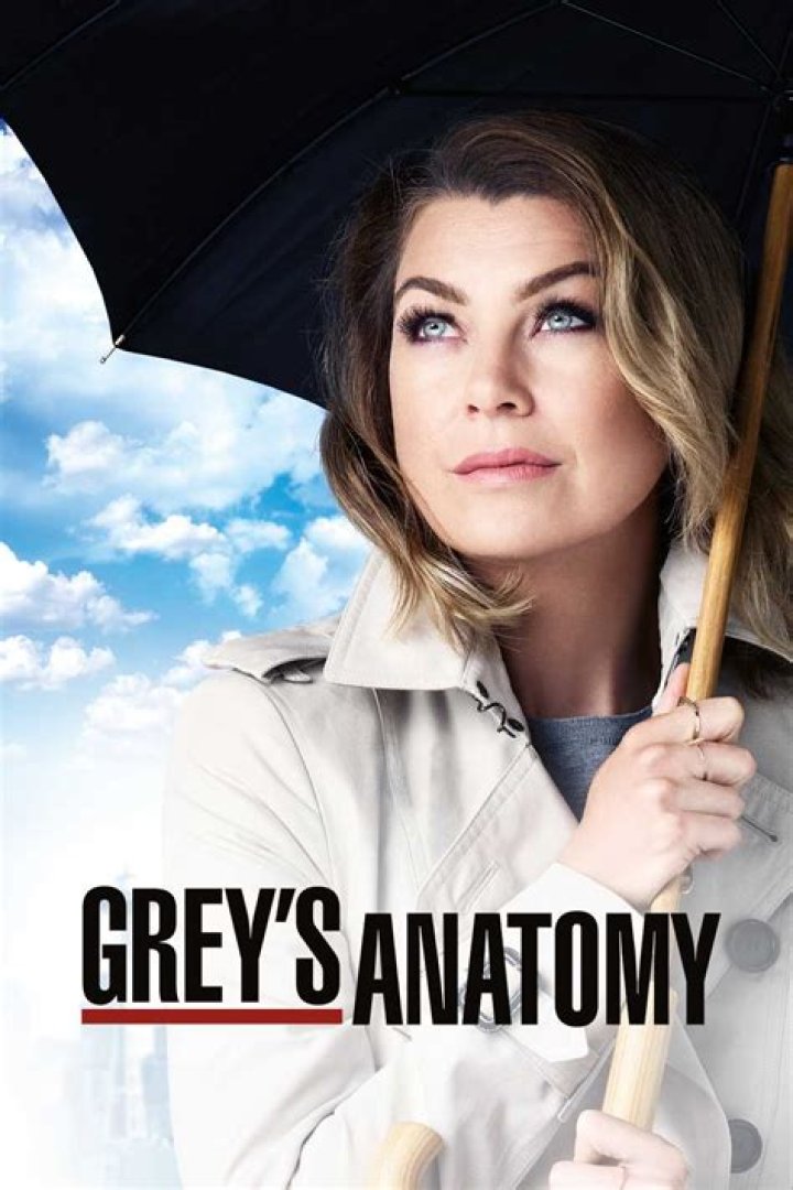 The Ultimate Guide To Grey's Anatomy Season 20 Cast