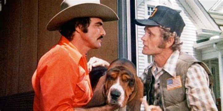 The Ultimate Guide To The Year Of "Smokey And The Bandit"
