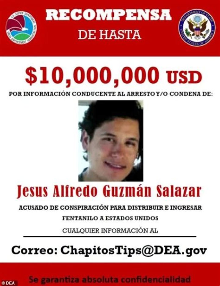 Top Insights On Jess Alfredo Guzmn Salazar: The Notorious Drug Lord