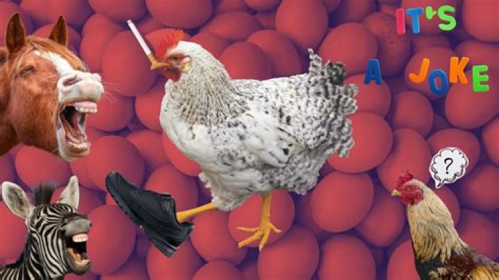 Ultimate Rib-Tickling Chicken Jokes: Unleash The Cluck-Worthy Laughter