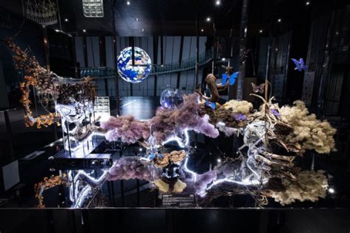 Uncover The Visionary World Of James Francia: Art, Science, And Innovation