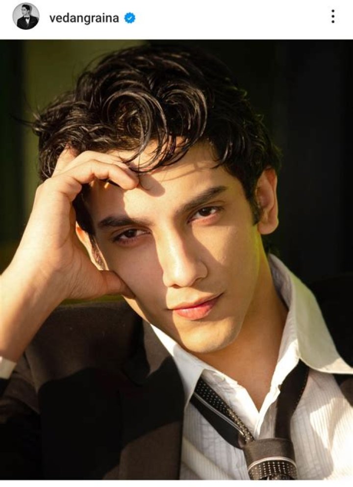 Uncovering The Mysteries Of Vedang Raina: Who Is He Really?