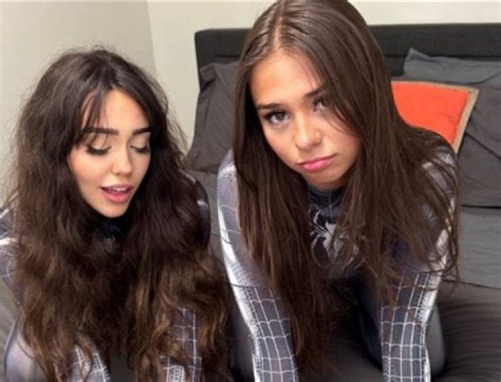 Unraveling The Mystique Of The Sophieraiin Spider Video