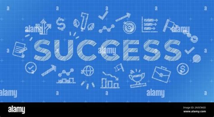 Unraveling The Professional Success Blueprint