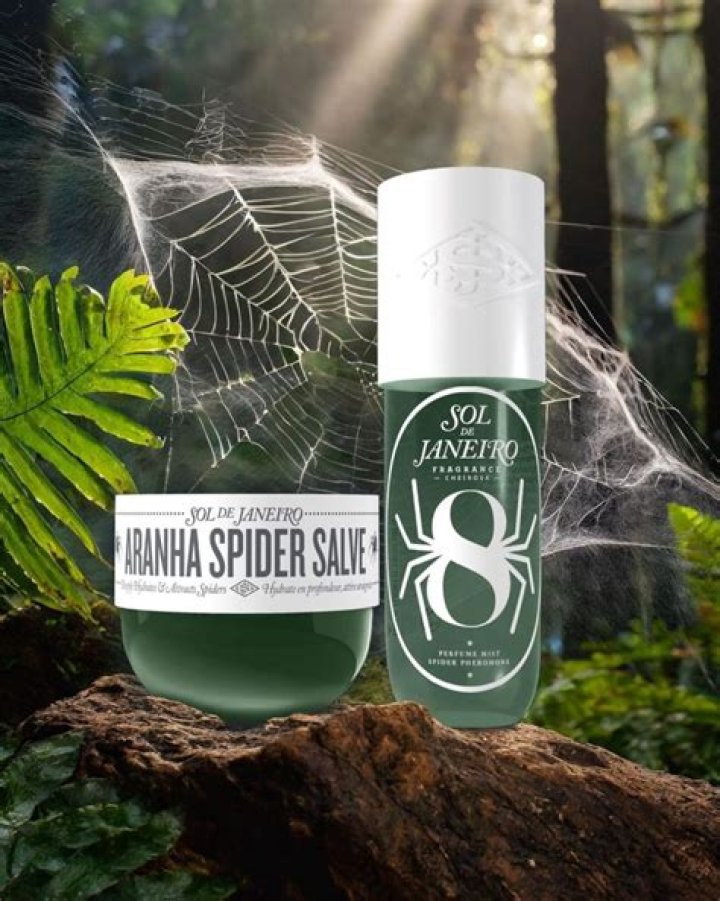 Unraveling The Secrets Of The Sol De Janeiro Wolf Spider