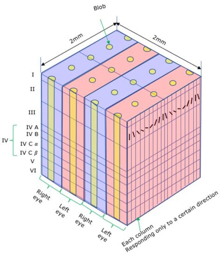 Unveiling Stipe Miocic's Stature: Height And Dominance