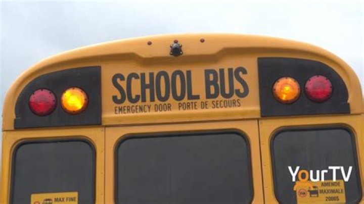 What does it mean when you see amber lights flashing near the top of a school bus?