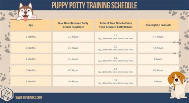 What happens if you rush potty training?
