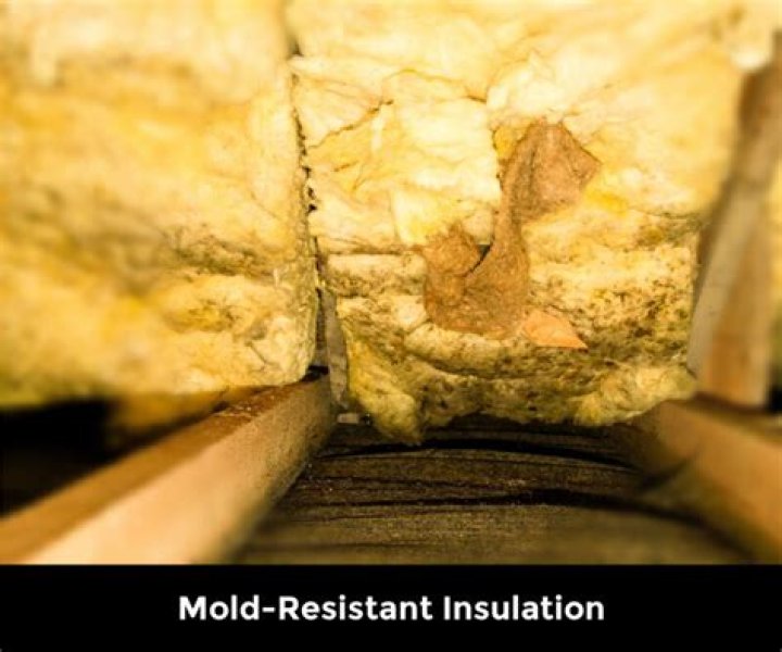 What insulation is mold resistant?