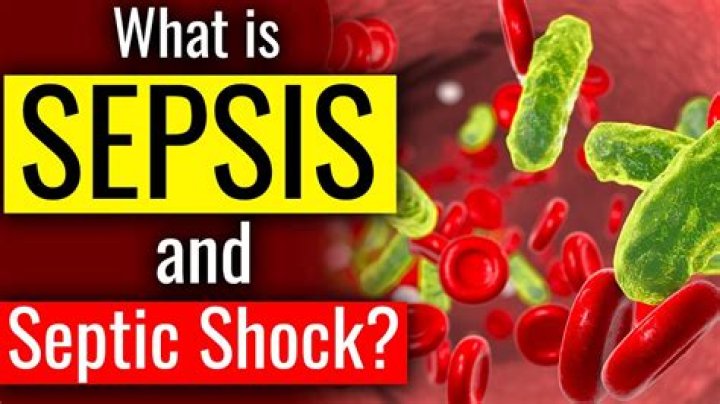 What is a septic hip?