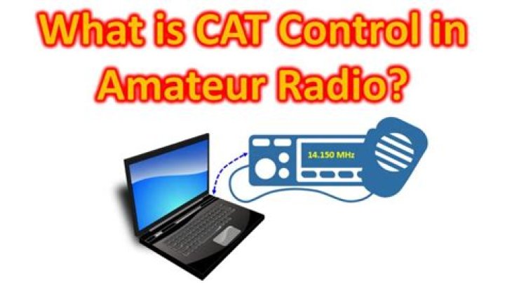 What is cat control?