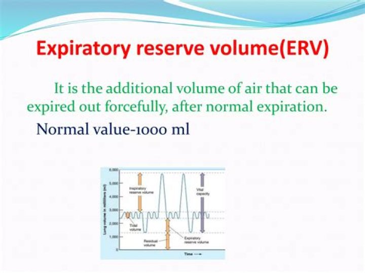 What is meant by expiratory reserve volume?