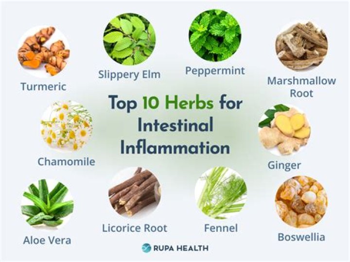 What is the most powerful natural anti-inflammatory?
