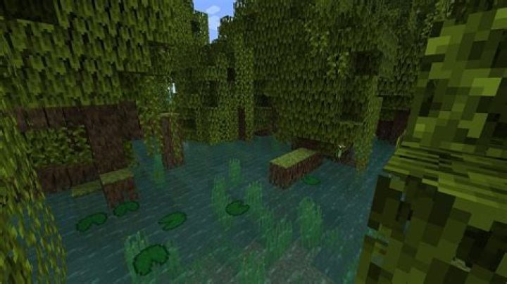 What is the swamp seed in Minecraft?