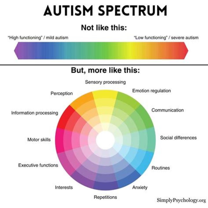 What states are the best for autism?