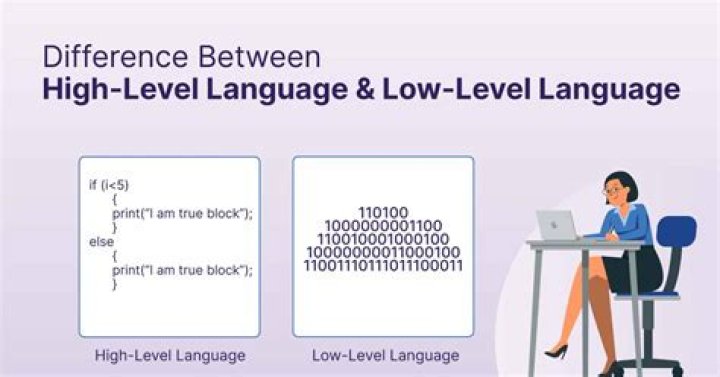 Which low level language should I learn?