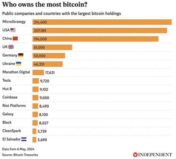 Who owns the most bitcoin in the world?