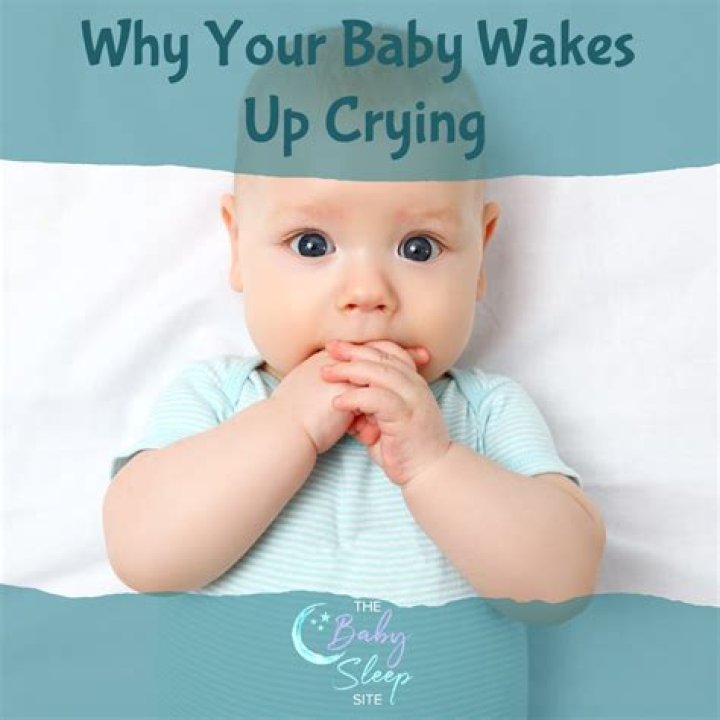 Why would a 2 year old wake up screaming?